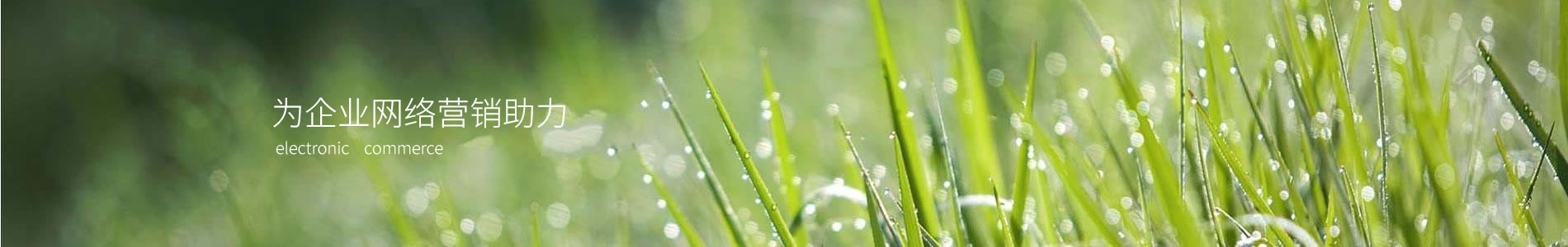 ɽŷ󻷾Ƽ޹˾